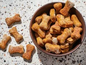 Peanut-Butter-and-Pumpkin-Dog-Treats