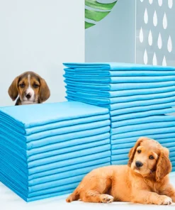 H90f056a635c24d36a77cdded3d829b4bT