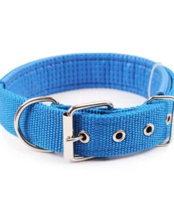 HTB1Nn tNVzqK1RjSZFoq6zfcXXaf