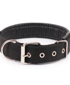 HTB1awrwNYrpK1RjSZTEq6AWAVXaC