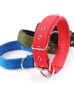 HTB1mXDrN4TpK1RjSZR0q6zEwXXar