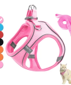 S01d5d0fd7f264b9ba347d466690ee890K