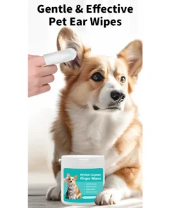 S07e8737e2ac14c91879dfe2b1ee03639M