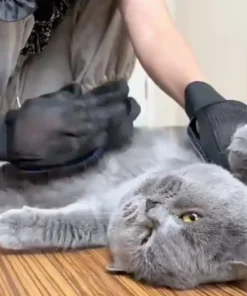 S0a8a4588b65b45b1b242b074b65b619cs