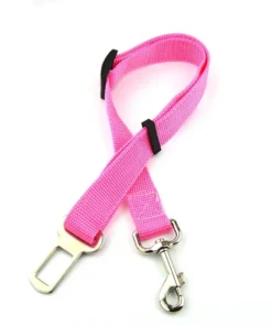 S12ebdc999b5a4281b1eac657a598e36dI