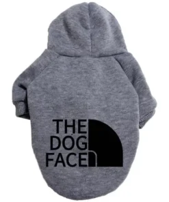 S1adce5f1865141ed9b999596970747abj