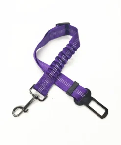 S1c04a1be638149d397ad599bee64bff4J