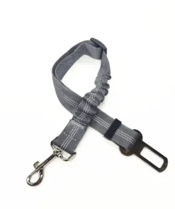 S24ff6d80c88c45f59183de3e6a2a849bC