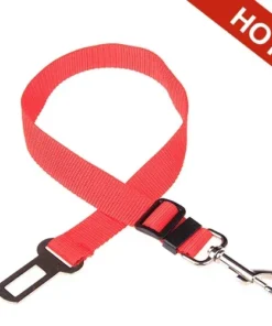 S257ce71bfdc342608160779c26df02364