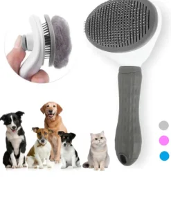 S2a3b555e95a04ea5a20b83fae93c8c212