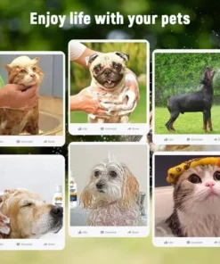 S2f2ecca5f0364576b50658ded2d6ca7c2