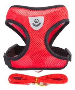 S3b0b5dc41d104596966178d3a1d839d45