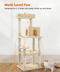 S3ce7df659df34bd98e1c19c87ed226f3J 3