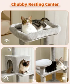 S46e783bd9e194e578db3d7179dd5b387F 2