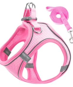 pink pet harness with leash