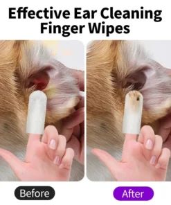 S4fb8e3dacf294966a898666e347d3b22S