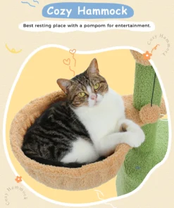 S534397412bd64479ada5331b9ecf627a0