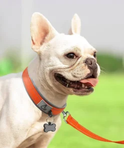 S553fc0f8bc8349f7afd4a7127f61b3abQ