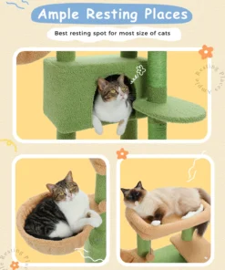 S55c3cf5c056c4fddbfe7d4255a2ef88bo