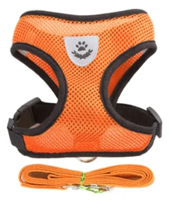 S6491681e5c1c4e58bb2c6059fa84b0f2r