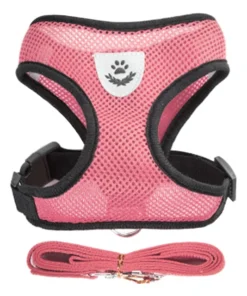 S7d99fef419b24a4183671f3b683c9846y