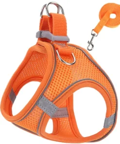 S84c87c5f89174d8eb789e124a7076d07X