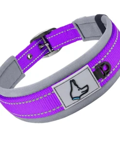paddled nylon dog collar