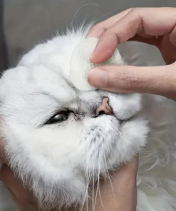 S97e1b2f492c74113bbe0b15c990d5f0bj