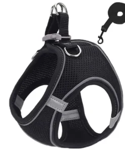 Sa48c30ef163b4eedb0234fccbbbb52604