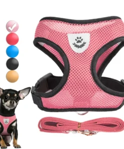 Adjustable Dog Harness and Leash Set – Breathable Vest for Small Dogs & Cats, Perfect for Pugs, Chihuahuas, Bulldogs