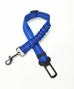 Sd021fd0d8b7d4d48bd40fcd6ebdc898bI