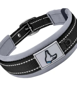 Sed9638dde8ff4f668c0c9ab2d18b6798w