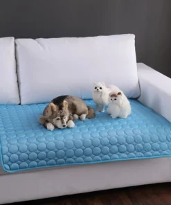 A8d0a05ad86874206ae8b3c795fbe82228 2