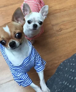 HTB1hpAwMNnaK1RjSZFtq6zC2VXaI