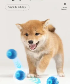 S13f6a00e398e49d5b564eb856c00aa16z