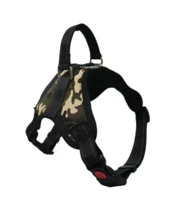 S17078e060d804f8caed4088a28294d78k 1