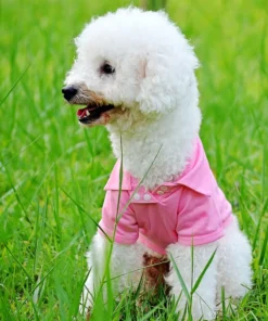 S19924f7d295d4900a52687c1e4c43ba6e