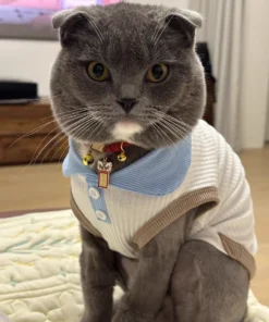 S19e57577137a4fad8a6d376e78d32d6dP