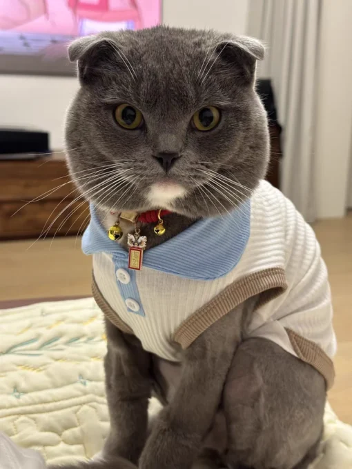 Summer Dog T-shirt Breathable Thin Lapel Dog Vest for Small Medium Dogs Cats Casual Pet Clothes Chihuahua Bichon Teddy Costume - Image 39