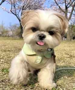 S23b9f09b0833497ca050603149323c26X