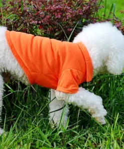 S2c3562b4f30e49ca8564d63d6960d415E