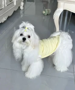 S2f48fd90a27746ebab6765af196af16fl