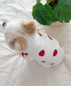 S36f554f943bc464db24c5dc5f9a942b9p