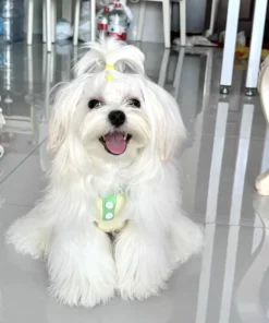 S37c9027a49a84a77888684ff523ec633W