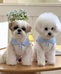 S38c1a5d9e3594a65961054f6542560091