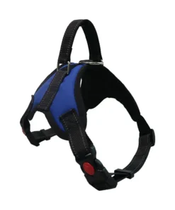 S4426aa4e05de4800bac6f4a5f70f19a31 1