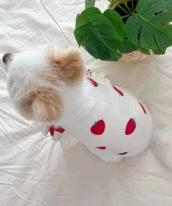 S445df26bb1484fffaf6b06e23f480011j