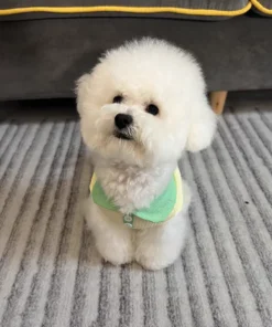 S4496b65e17aa44108e7d38efb843597bD