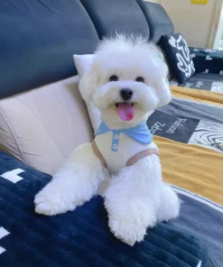 S4b7fd5e7b6e54bd7928adb114569efdbO