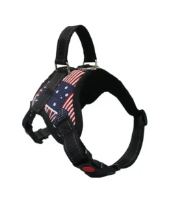 S4e5f39dc3ae842ed977d1b998b948ecba 1